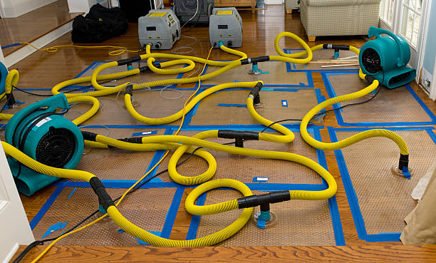 Professional Basement Flood Cleanup technician working in Redlands, CA